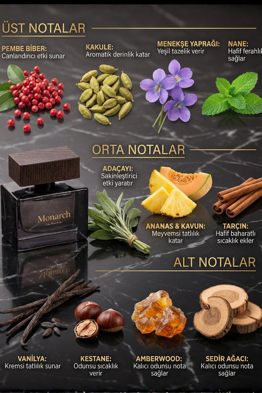 Stronger With You Erkek Parfüm The Monarch Yüksek Yayılım Kalıcı - 2