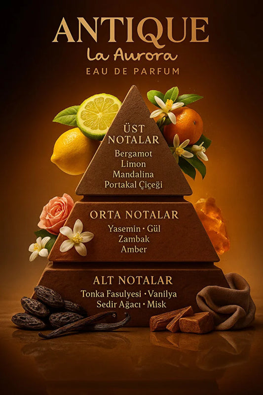 Antique Erkek Parfüm Edp