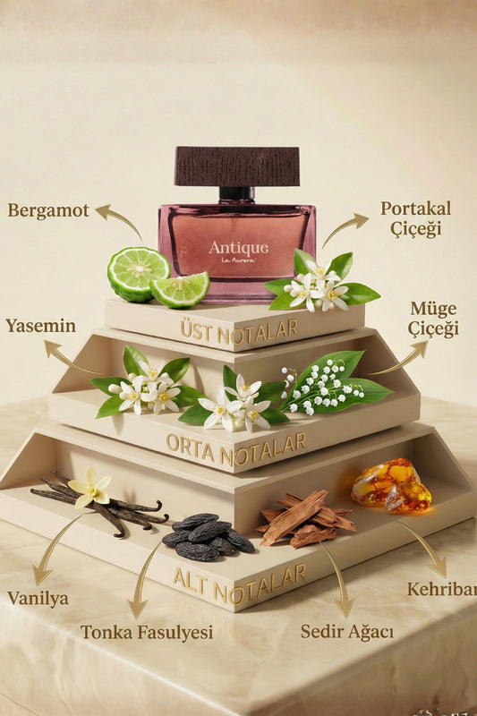 Erkek Parfüm The Antique Yüksek Yayılım Kalıcı Nicos Sculpture - 2