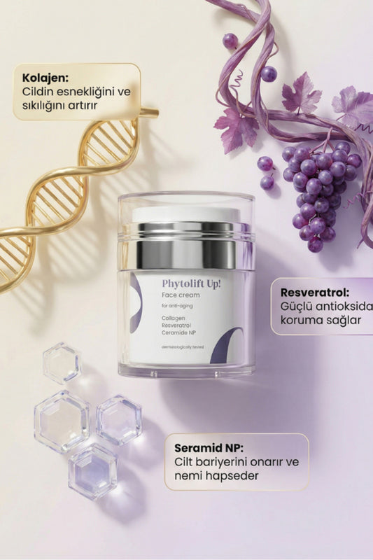 Yaşlanma Ve Kırışıklık Karşıtı Nemlendirici Yüz Göz Çevresi Altı Cilt Kremi Gece Yağlı Su Bazlı Kuru - 2