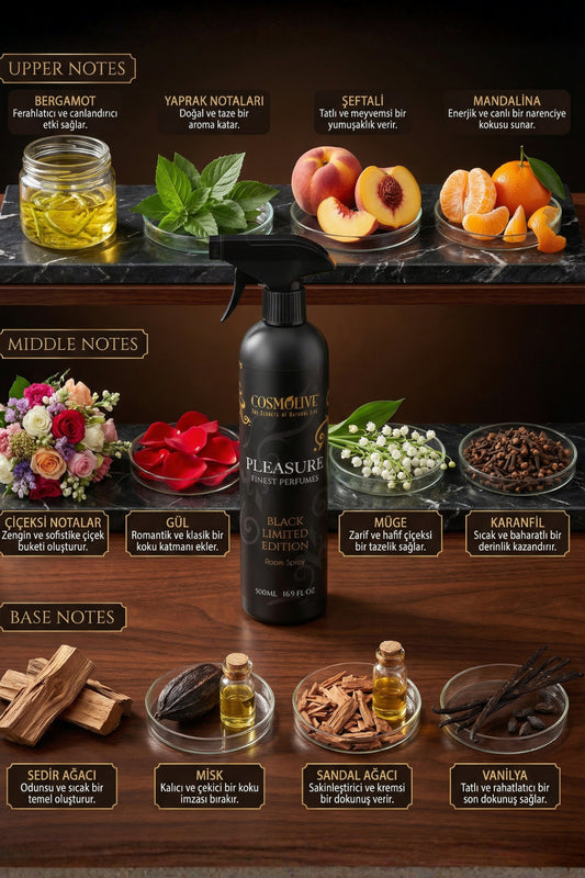 Oda Kokusu Spreyi Sıcak Vanilya & Misk Pleasure Black Limited 500 ML - 2