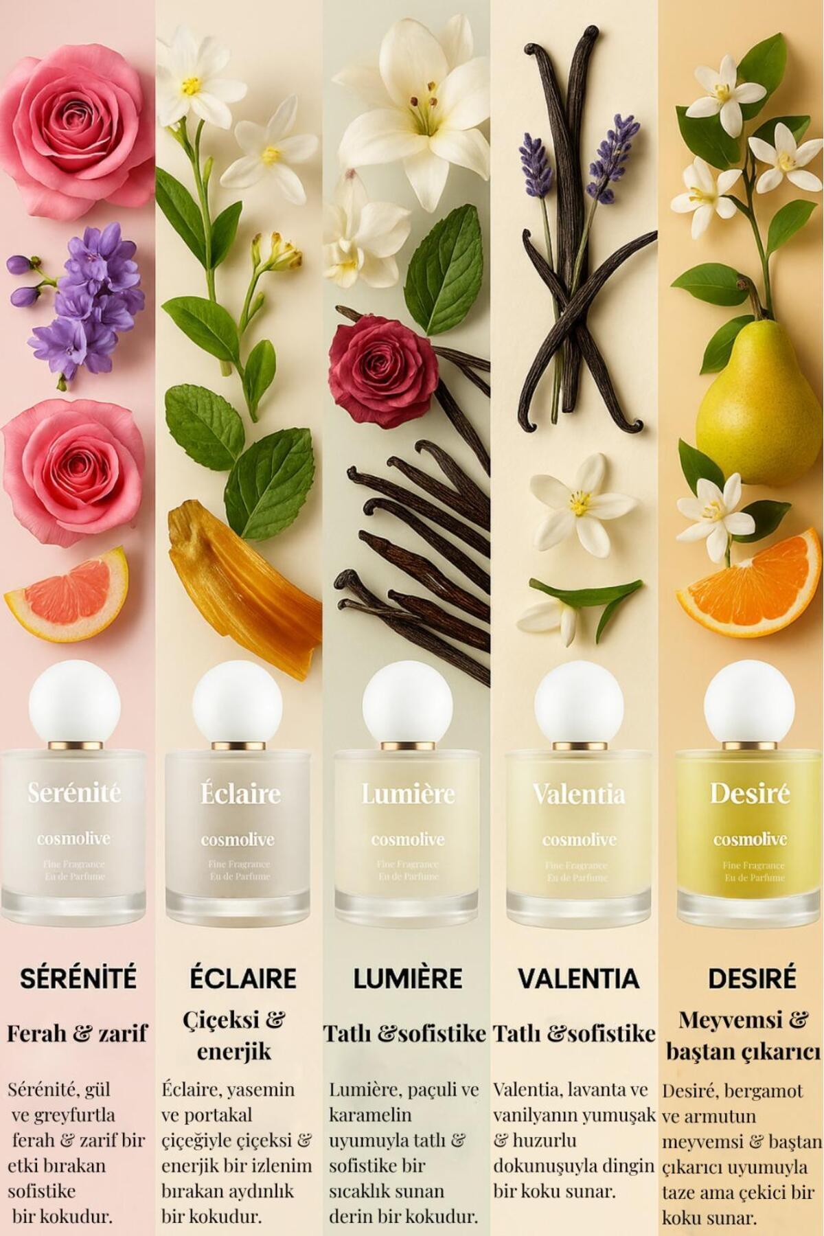 Velvet Desert Oud Lumiere Kalici Kadin Parfüm Yüksek Esans - 8