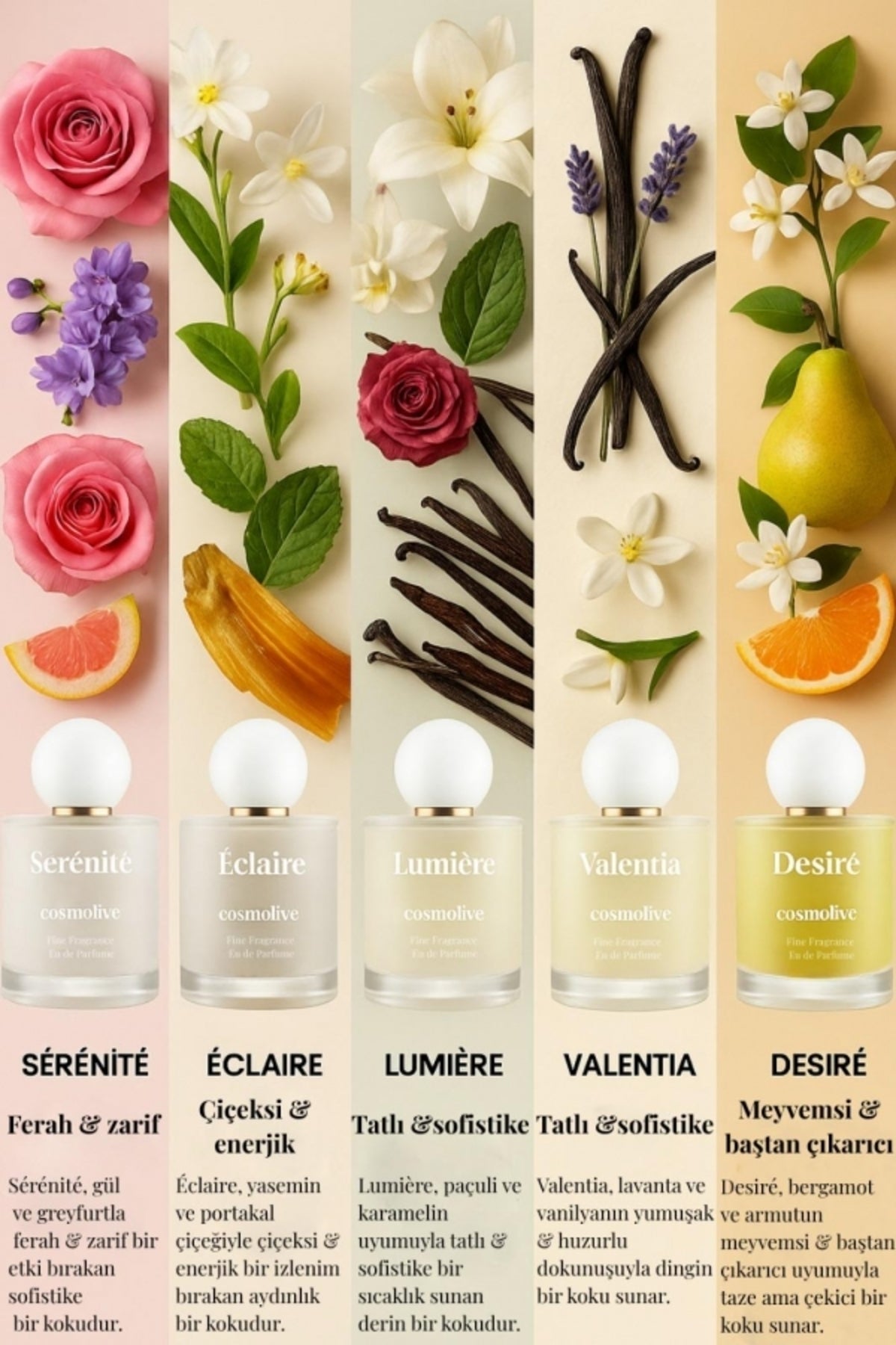 Valentia Kadın Parfüm Edp