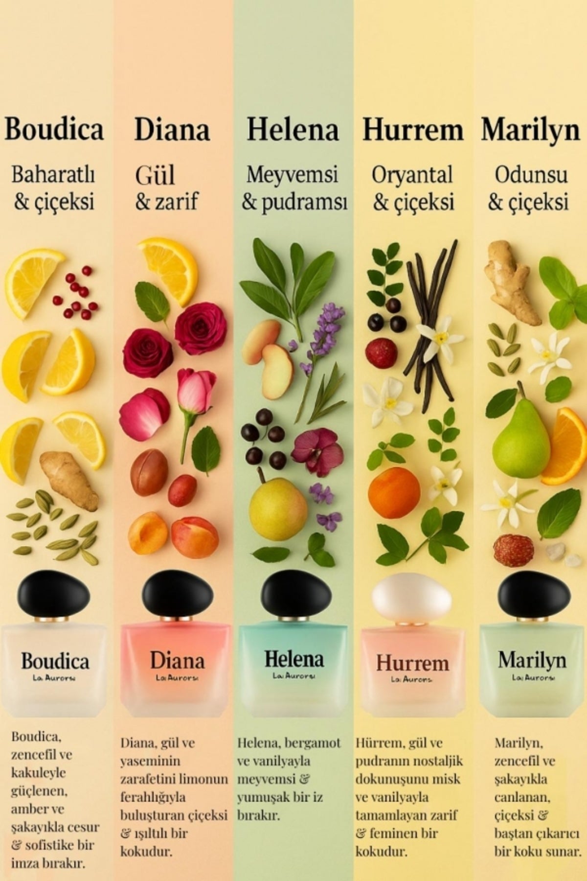 Diana Kadın Parfüm Edp