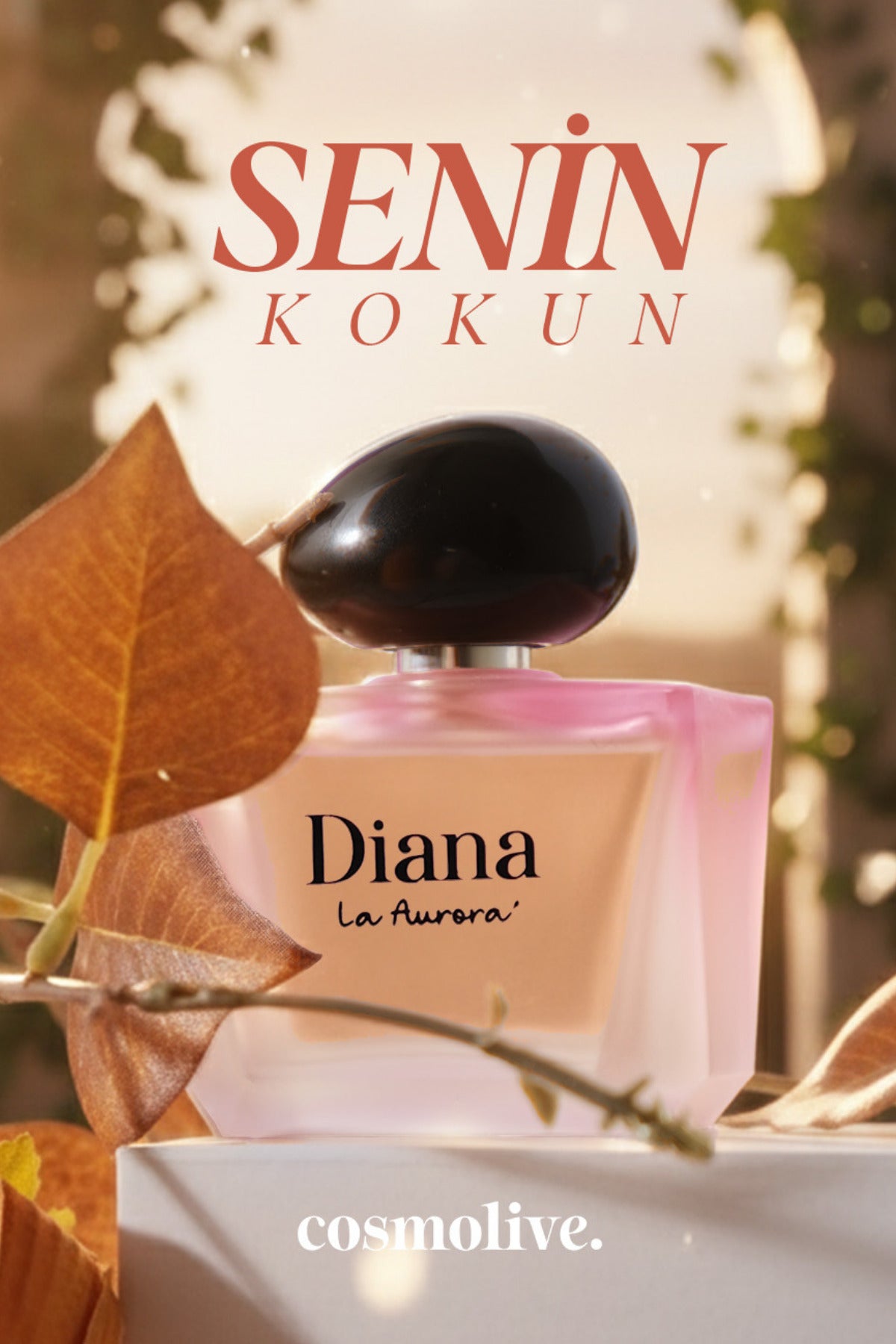 Kadın Parfüm Delina Exclusive Yenilenen Formül Kalıcı Yüksek Esans - 7