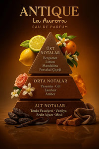 Antique Erkek Parfüm Edp