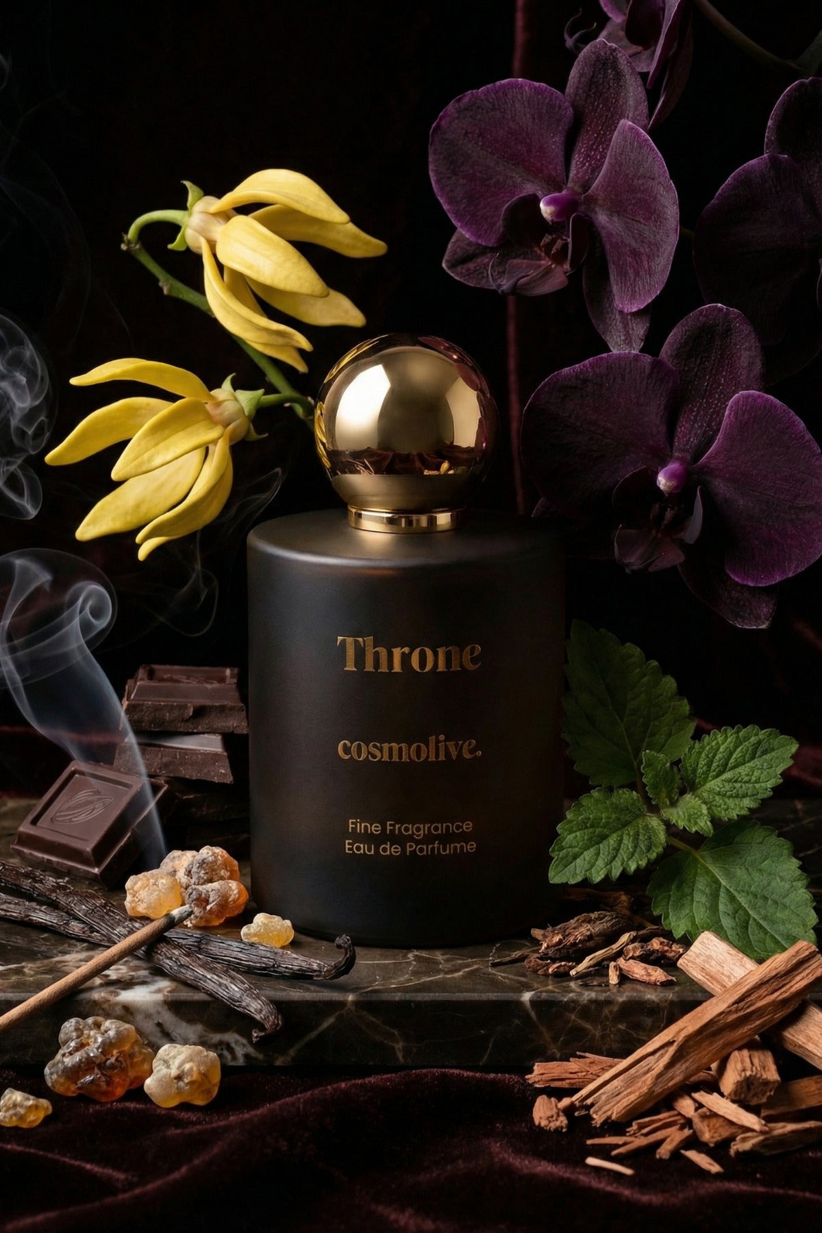 Black Orchid Yüksek Esans Kalıcı Erkek Parfum The Throne Edp - 4